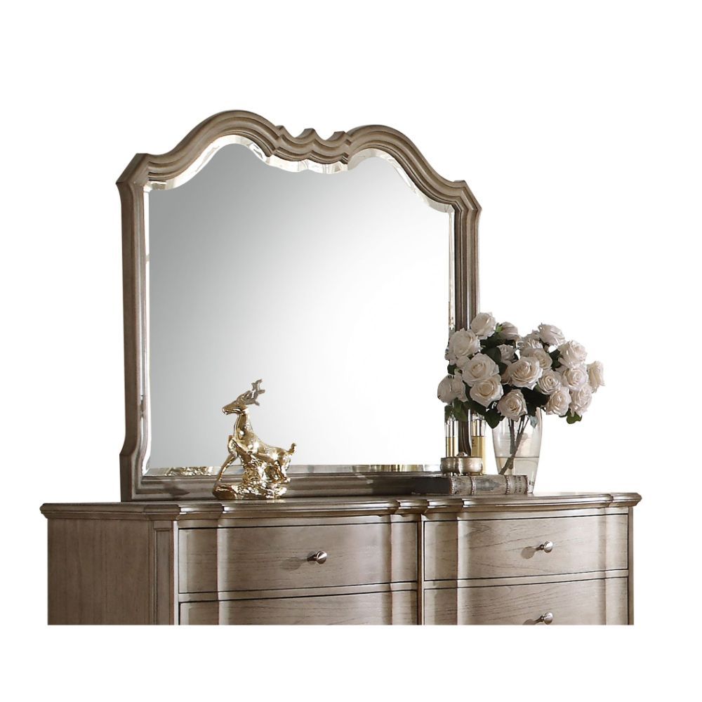 ACME Mirror with Beveled Edge | Meri Furniture