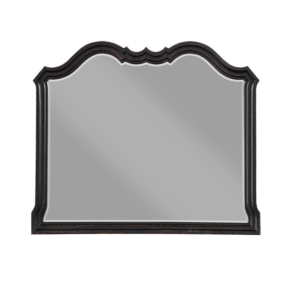 ACME Mirror with Beveled Edge | Meri Furniture