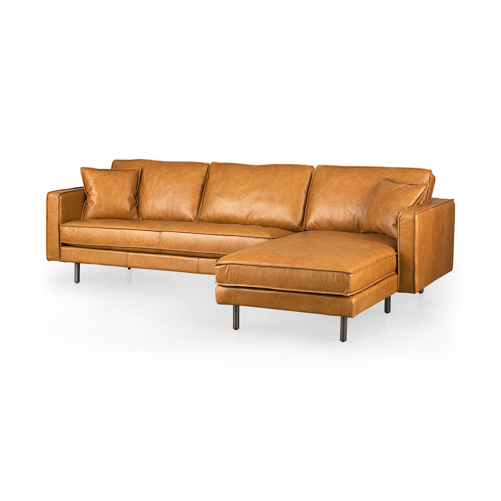 D'Arcy Sofa Sectional