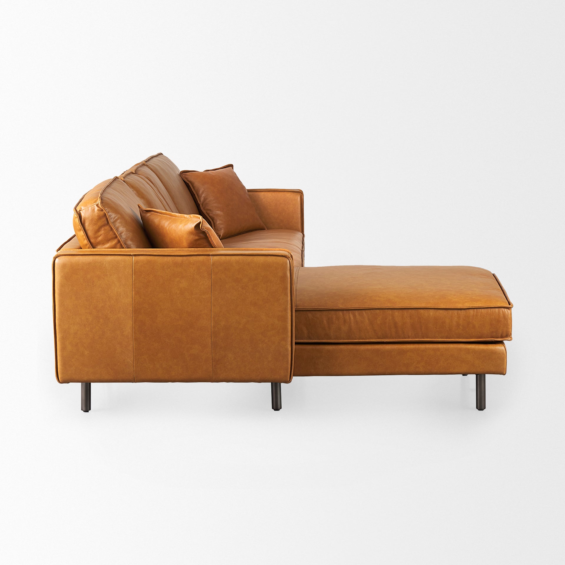 D'Arcy Sofa Sectional