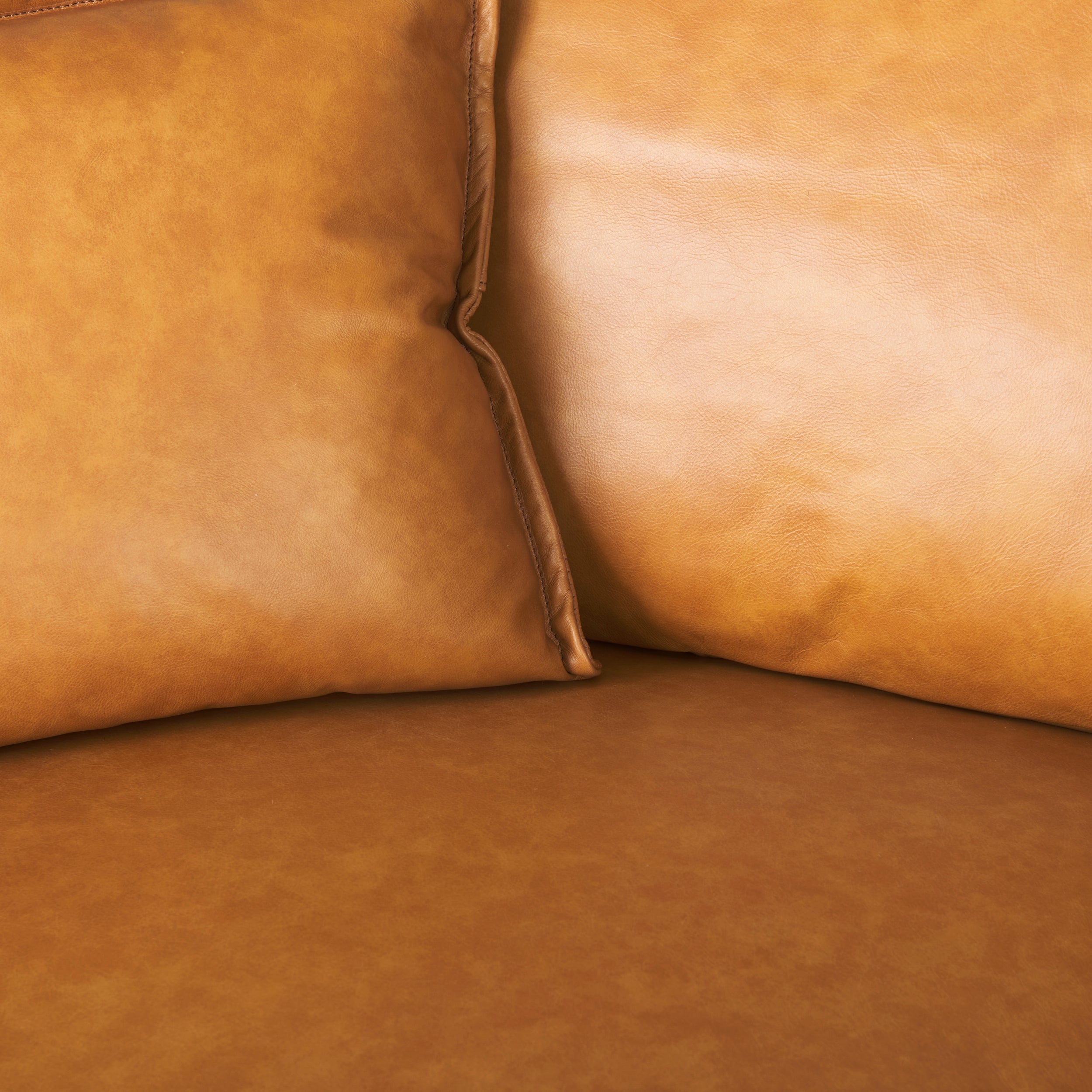 D'Arcy Sofa Sectional