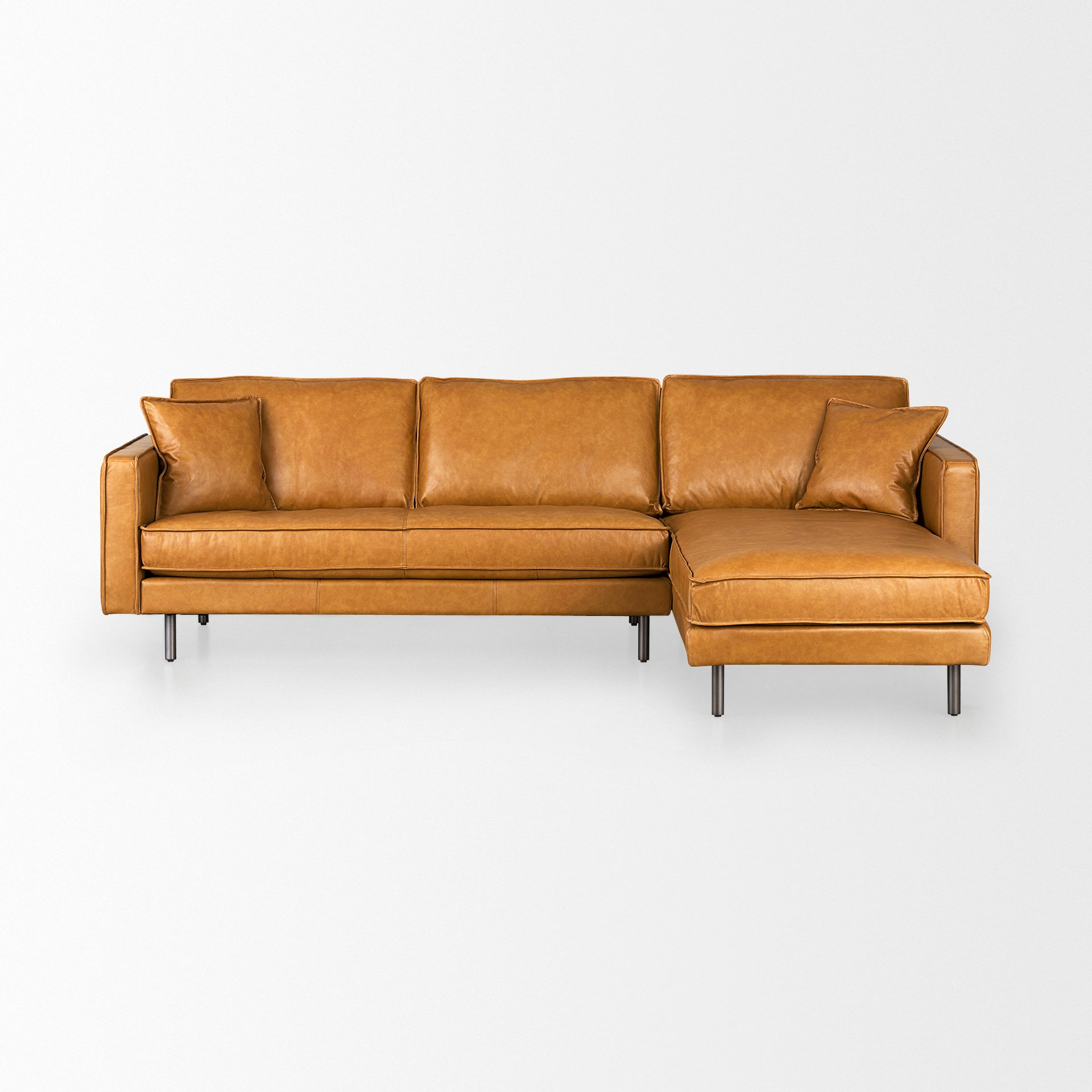 D'Arcy Sofa Sectional