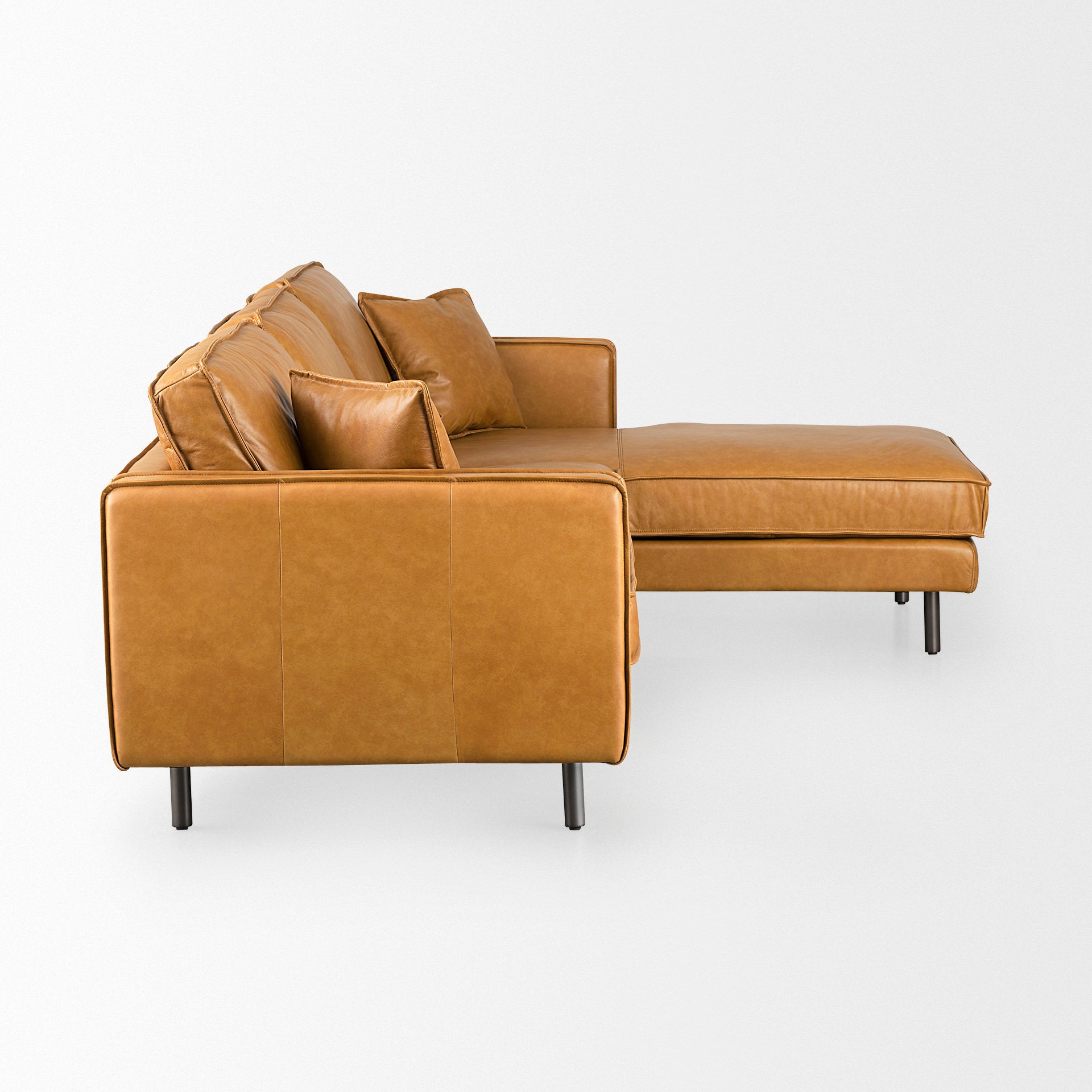D'Arcy Sofa Sectional