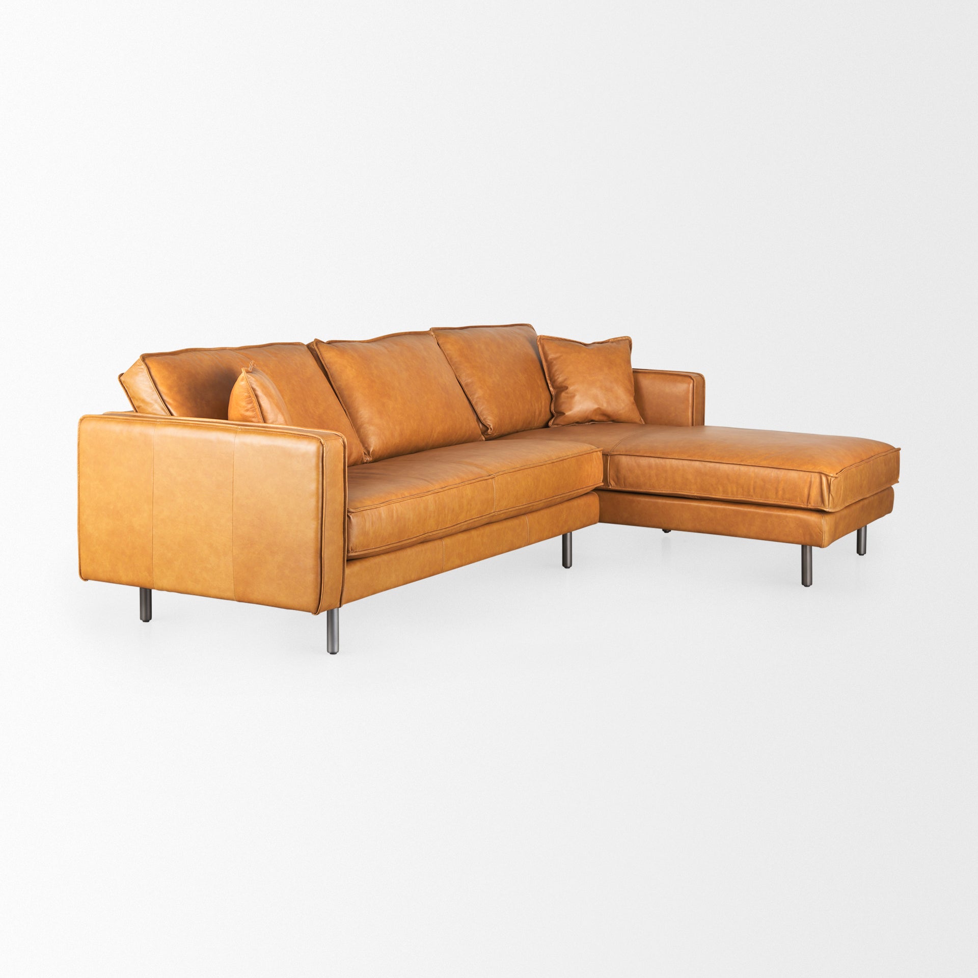 D'Arcy Sofa Sectional