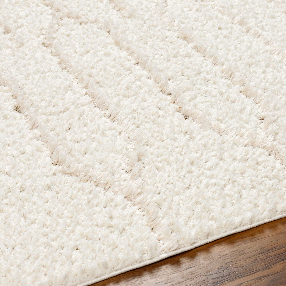 Maryland Shag Machine Woven Rug