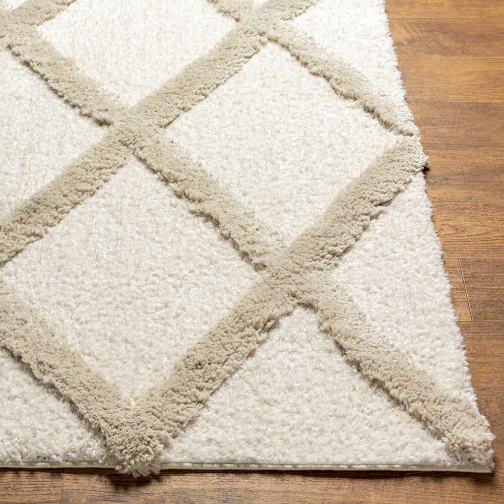 Hudson Shag Machine Woven Rug