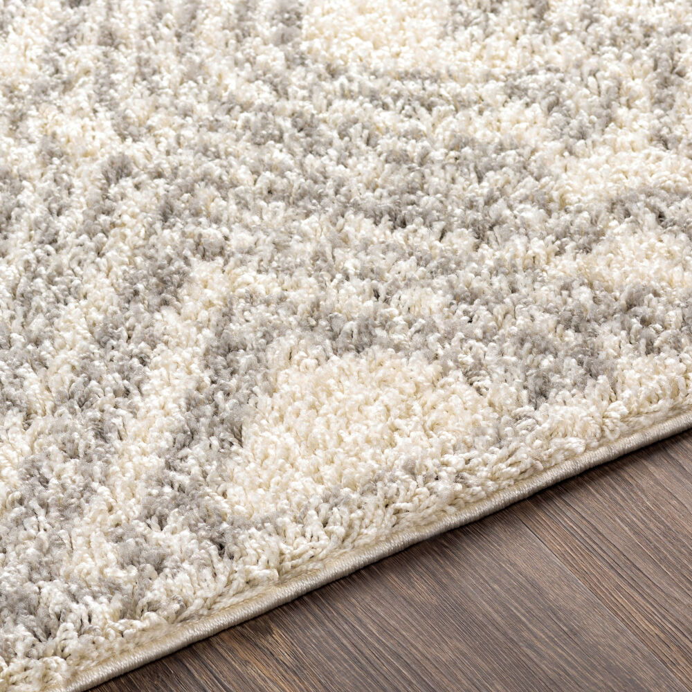 Taza Shag Machine Woven Rug