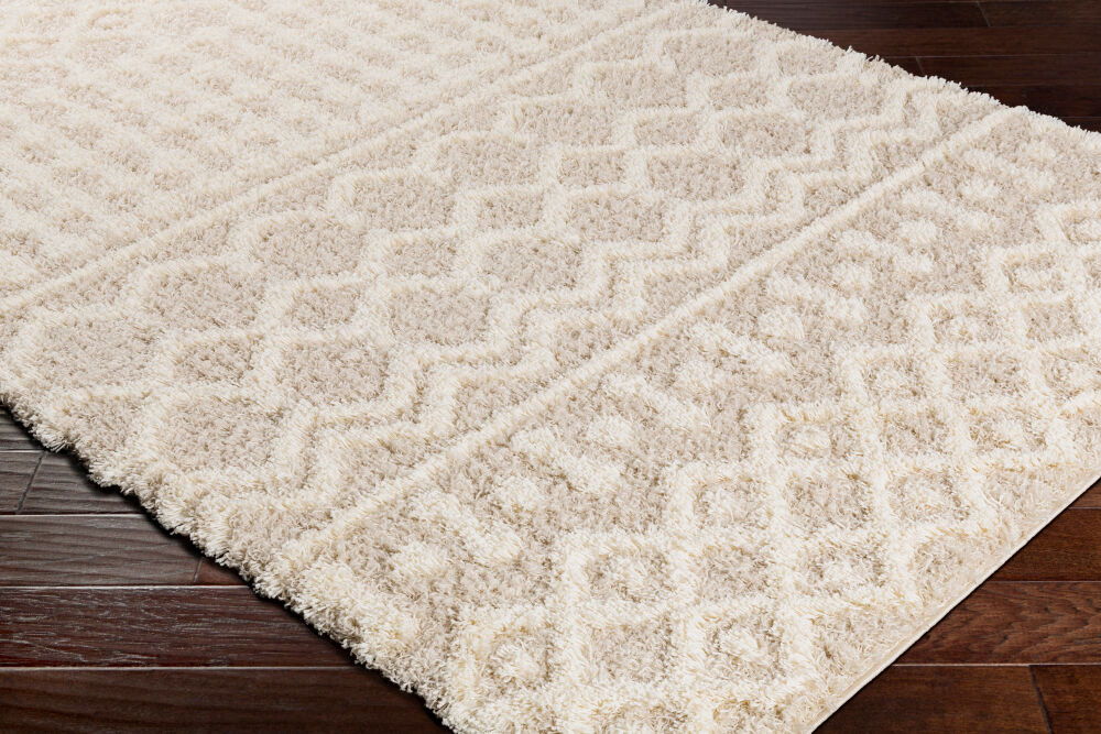 Urban Shag Machine Woven Rug