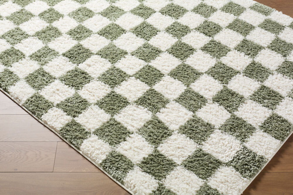 Czechia Machine Woven Rug