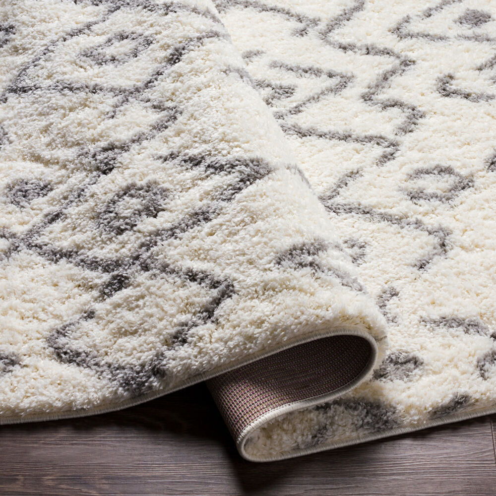 Aliyah Shag Machine Woven Rug