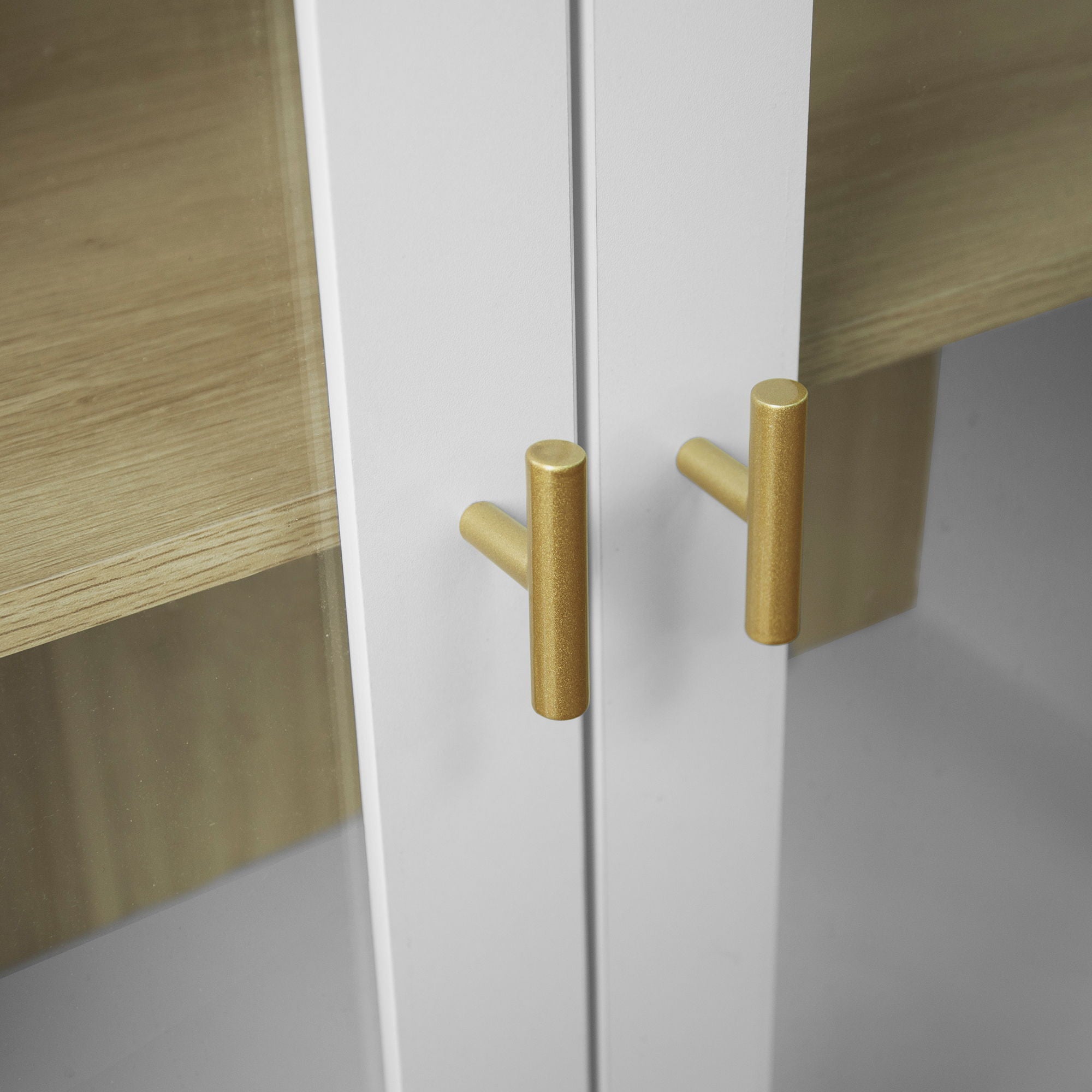 Storage Cabinet With Acrylic Door For Living Room