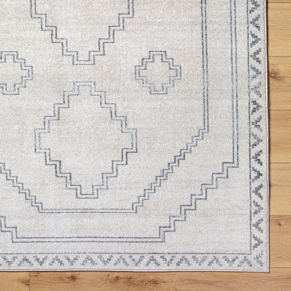Alpharetta Machine Woven Rug