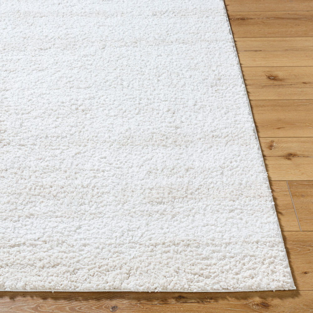 Sacramento Shag Machine Woven Rug