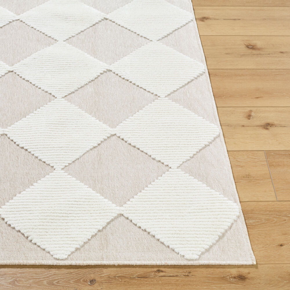 Lyna Machine Woven Rug