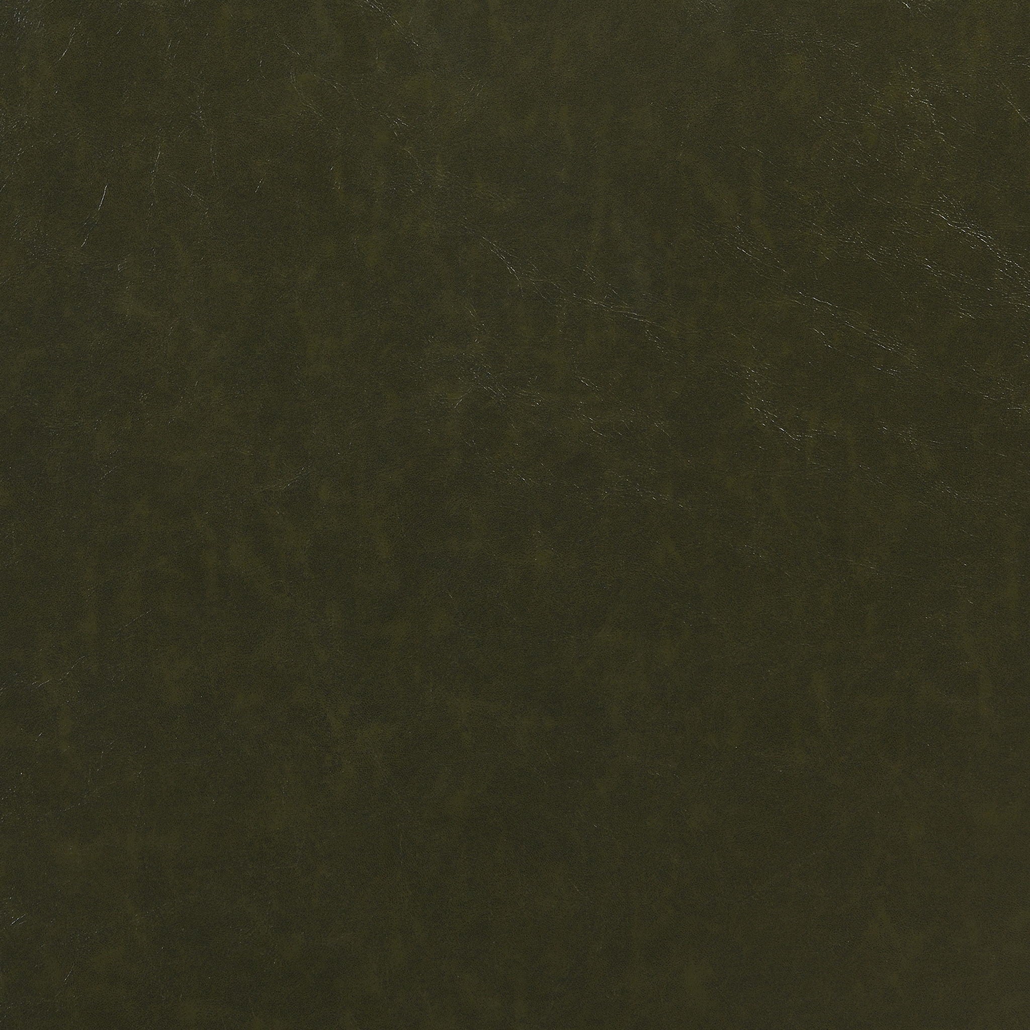 Mid - Century Accent Chair With Cushioned Seat, Brass Tipped Legs