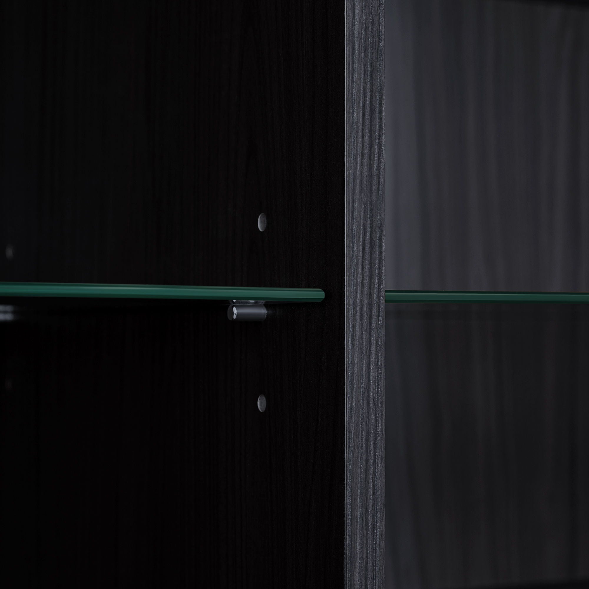 Modern Minimalist Style LED Curio Cabinet With Tempered Glass Door, Metal Legs