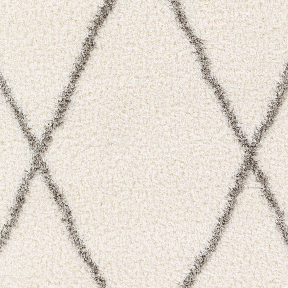 Cloudy Shag Machine Woven Rug