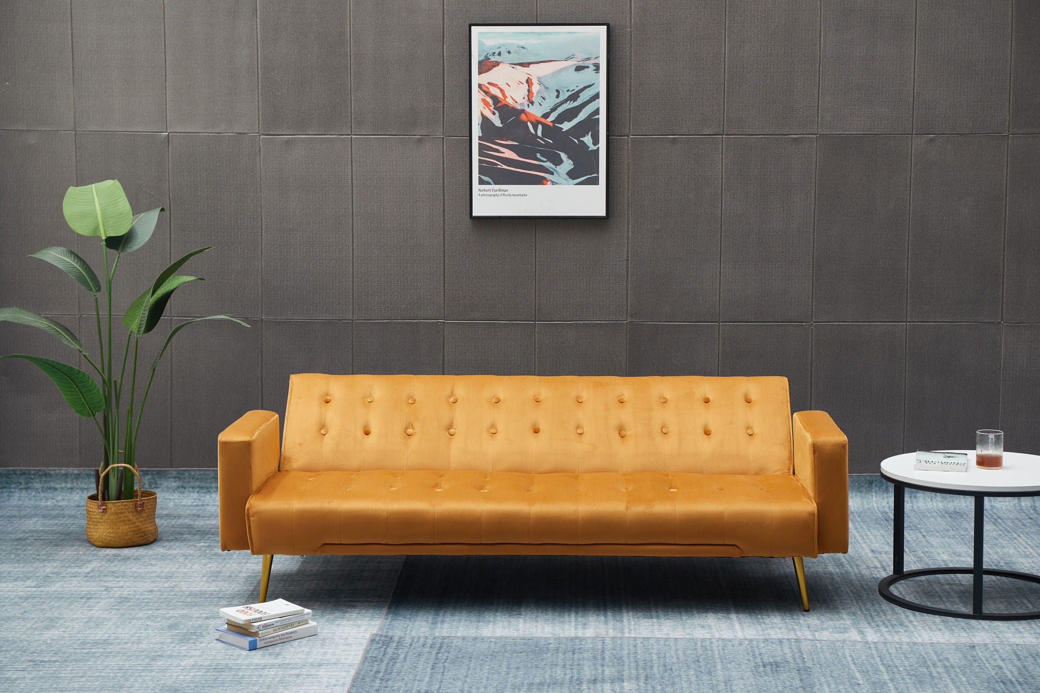 Comfort Compact Design Sofa Bed