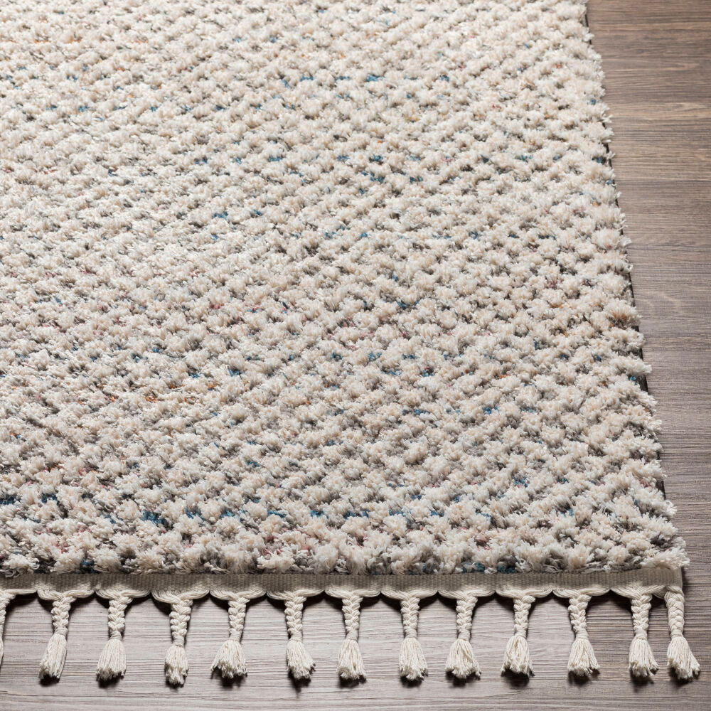 Lyon Machine Woven Rug