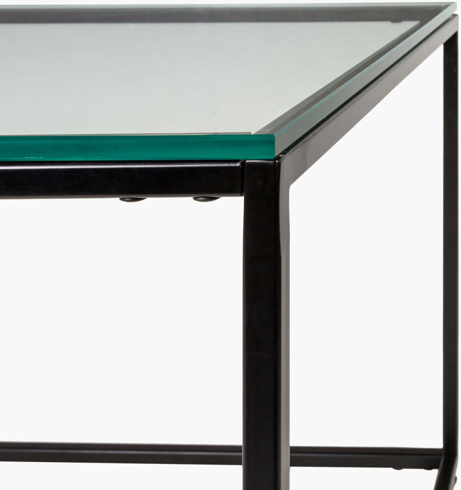 Aryaa Coffee Table