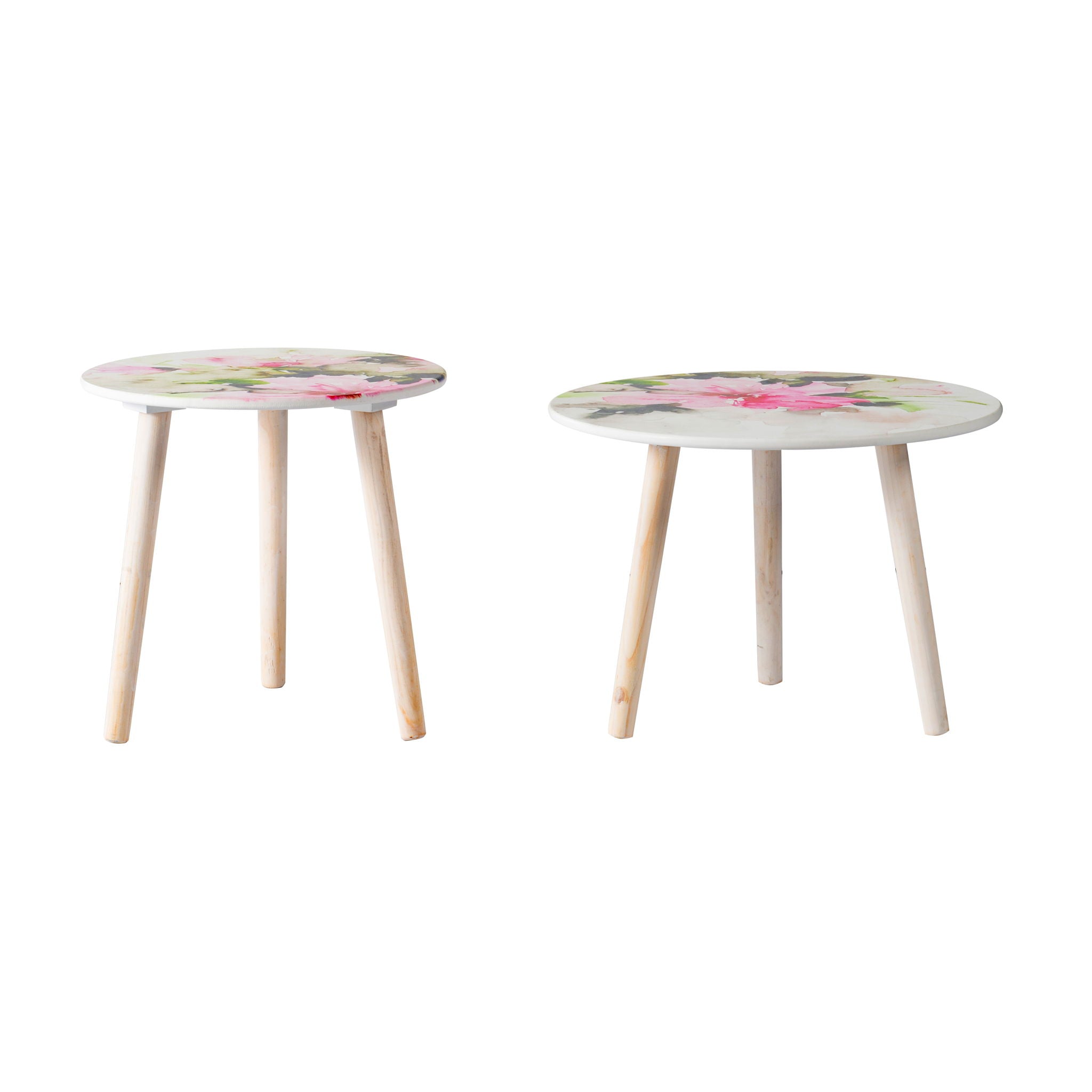 Nature-Inspired Side Tables (Set of 2)