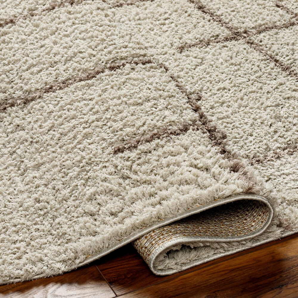 Maryland Shag Machine Woven Rug