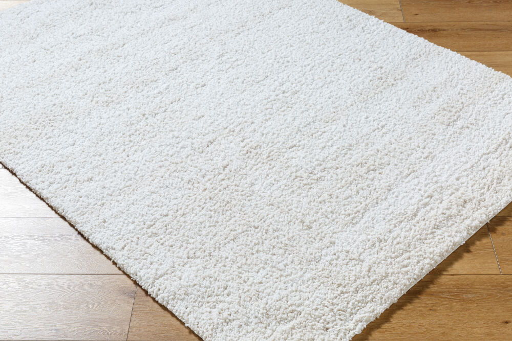 Sacramento Shag Machine Woven Rug