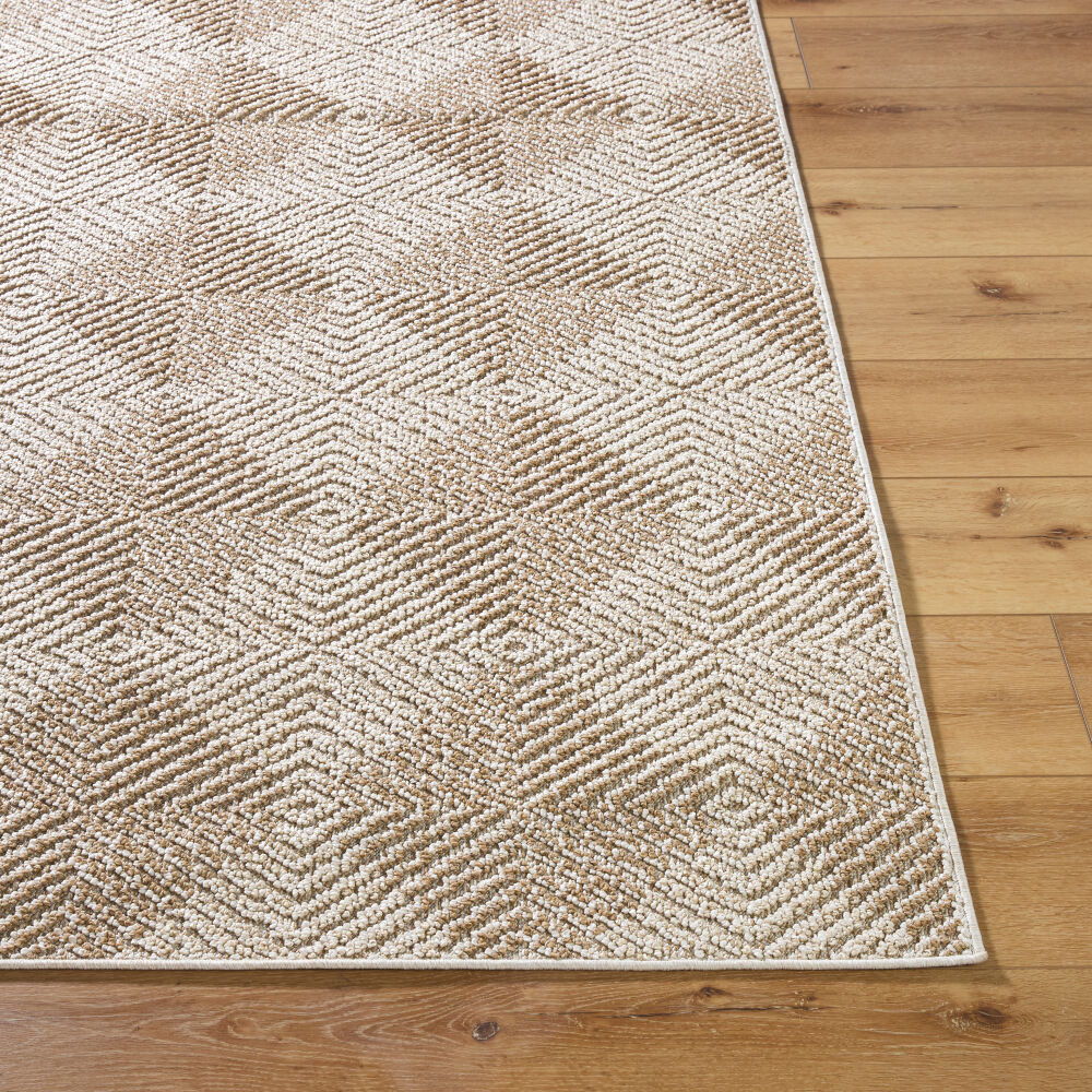 Kaya Machine Woven Rug