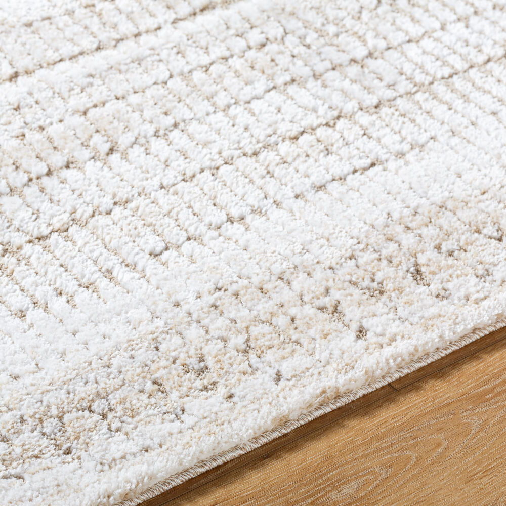 Delight Shag Machine Woven Rug
