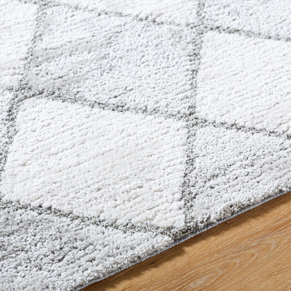 Delight Shag Machine Woven Rug
