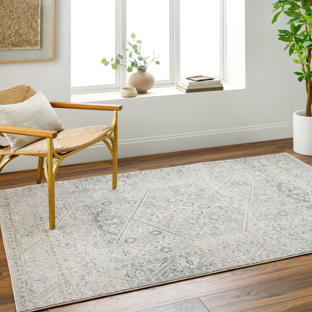 Alpharetta Machine Woven Rug