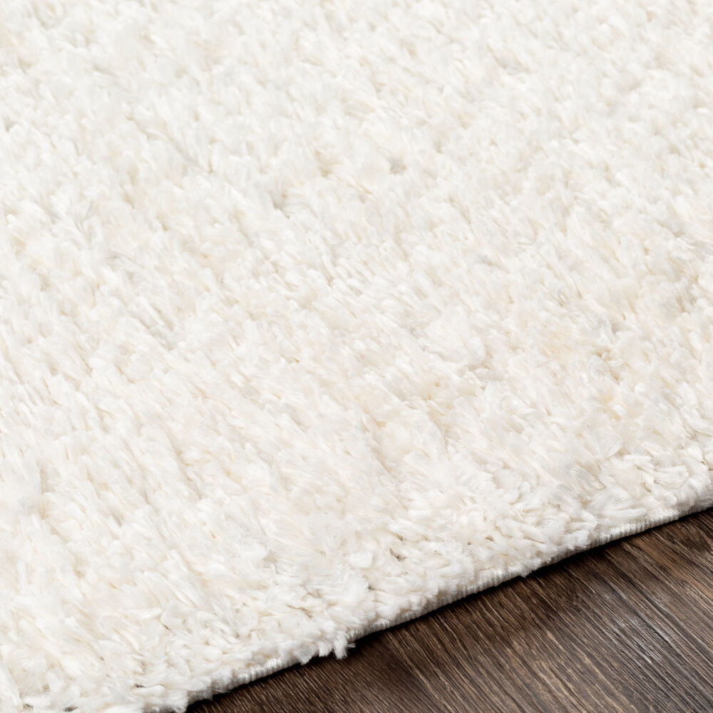 Deluxe Shag Machine Woven Rug