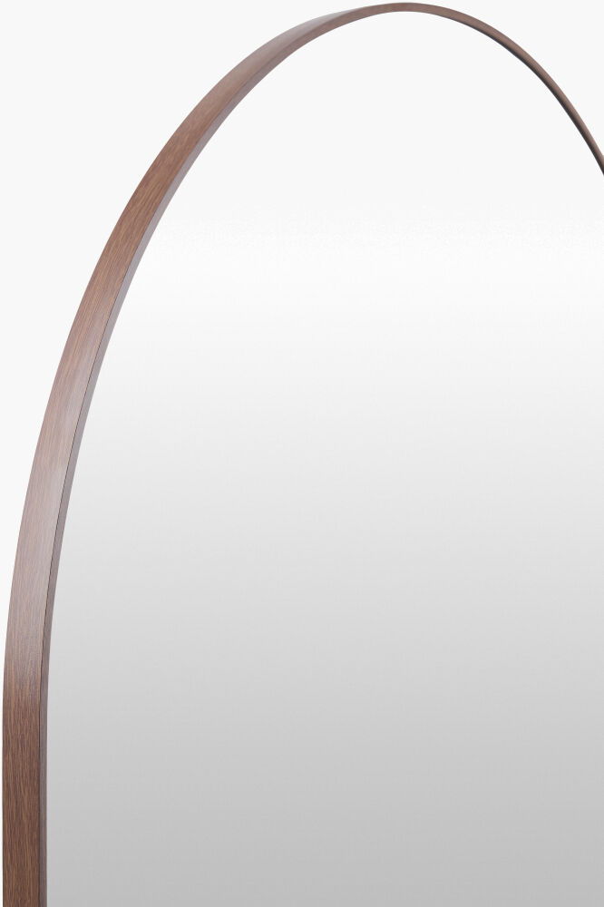 Aranya Accent Mirror