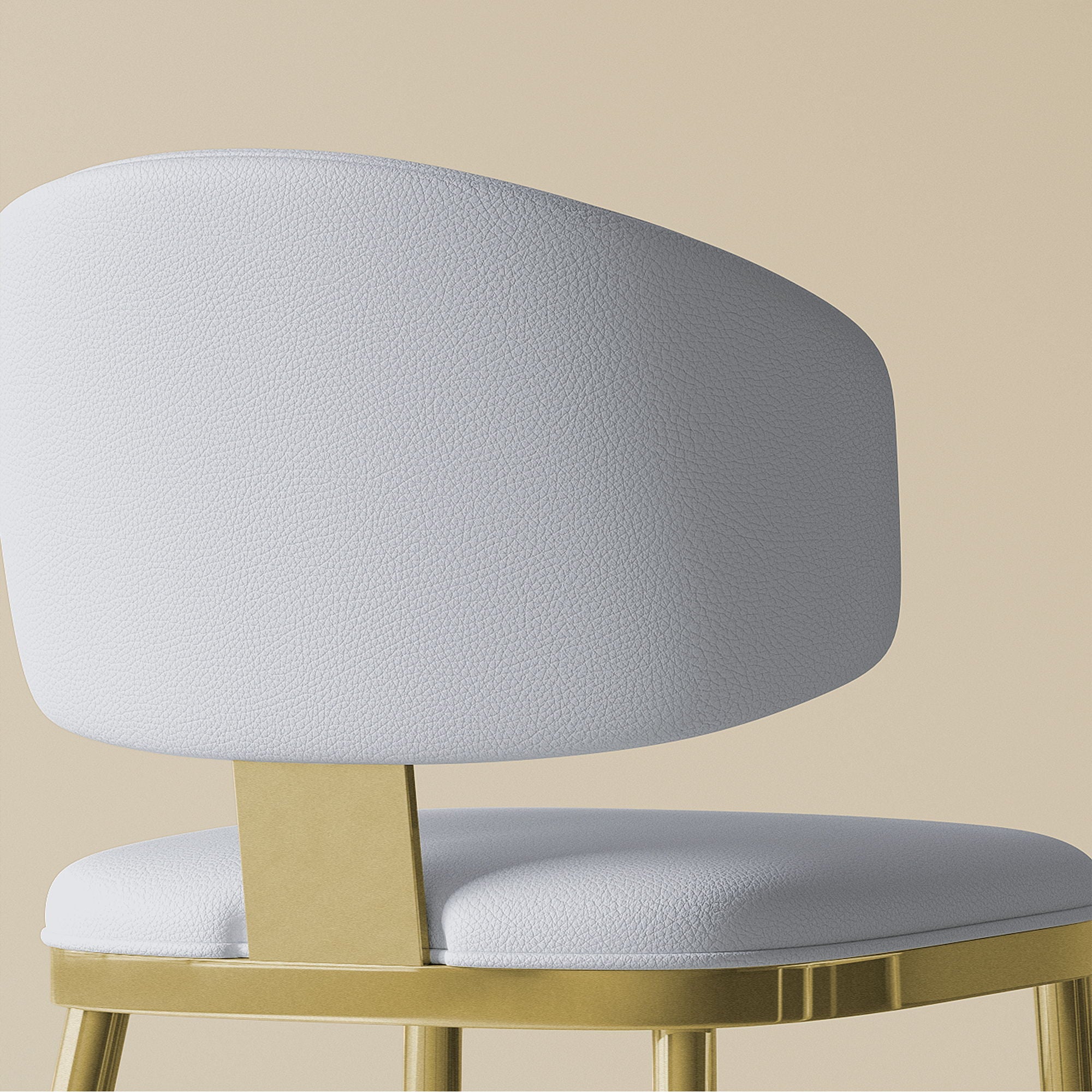 Modern Dining Chairs For Kitchen (Set of 2)