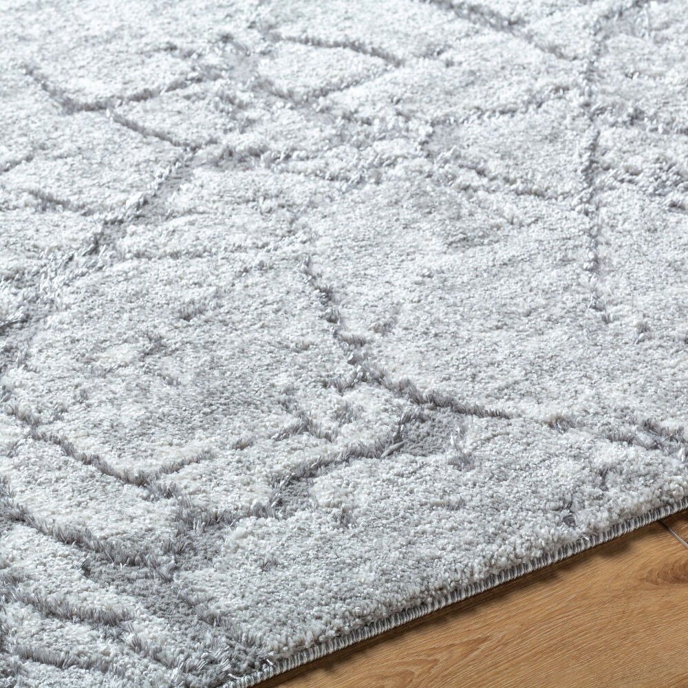 Andorra Plus Machine Woven Rug