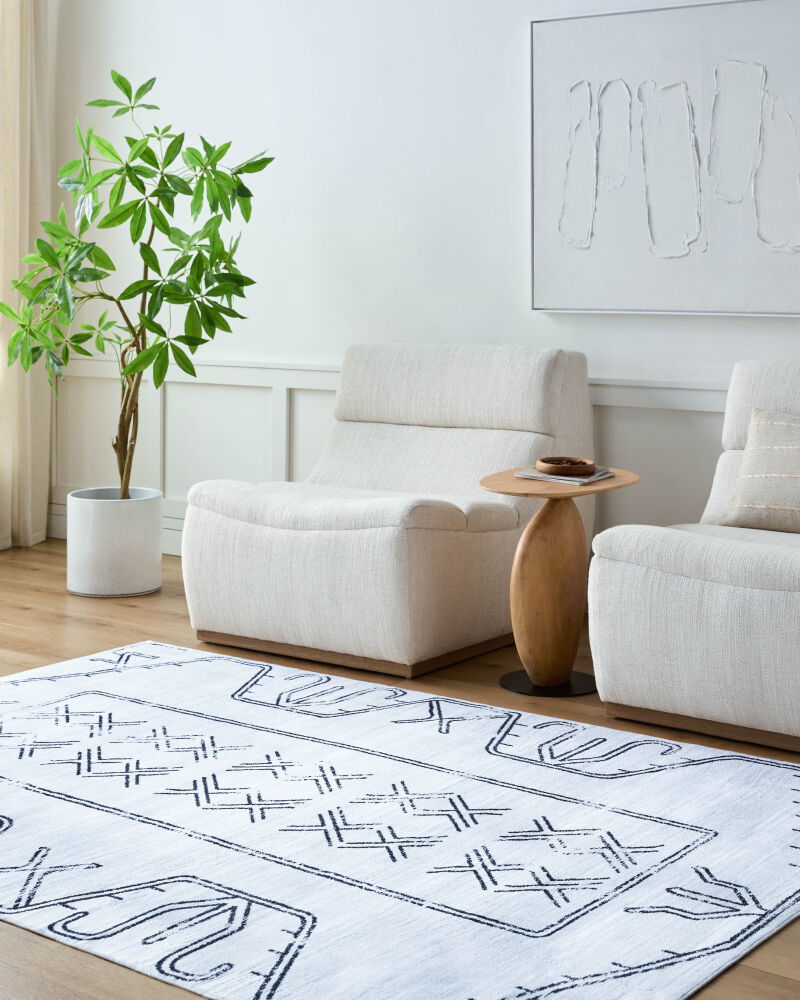 Lavable Machine Woven Rug