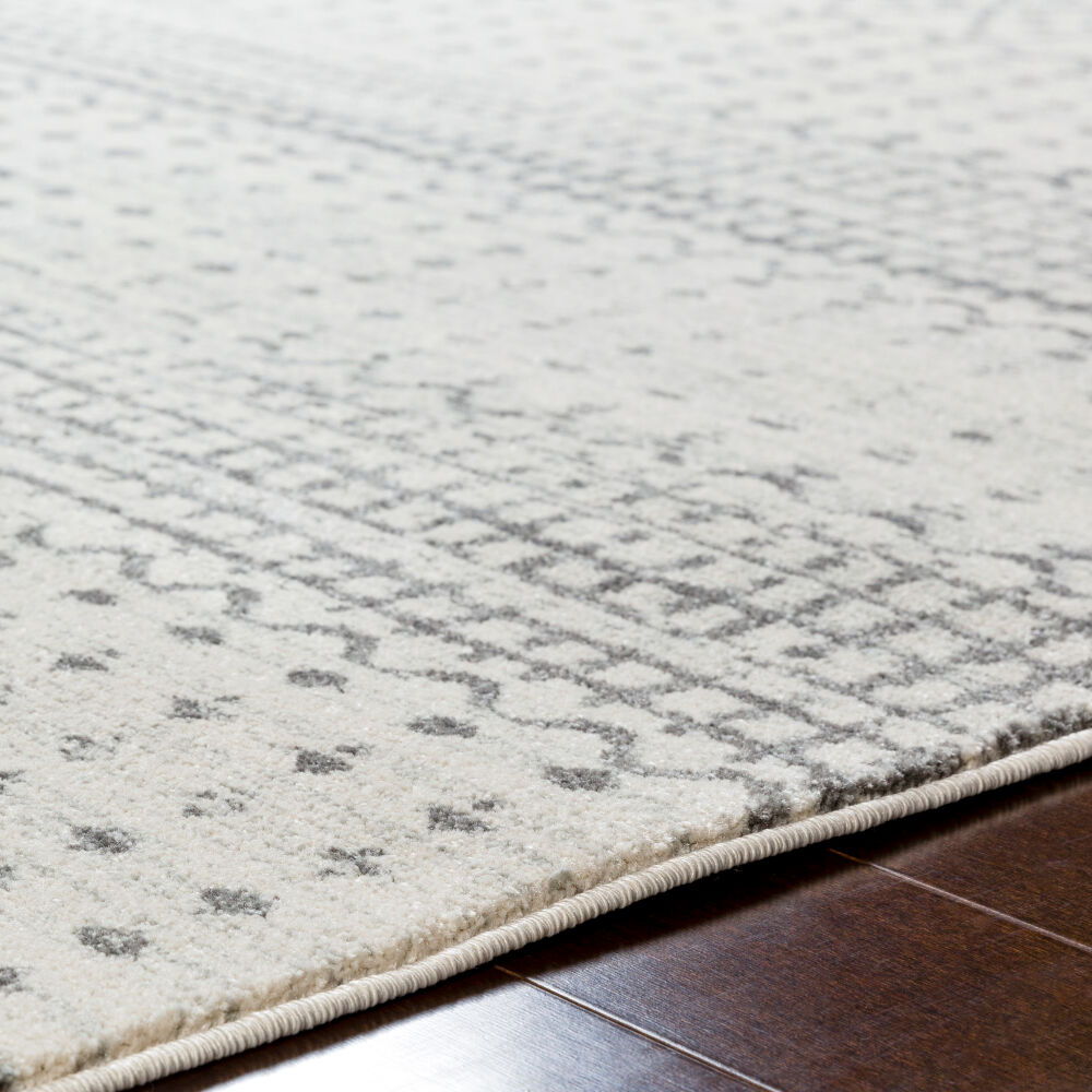 Harput Machine Woven Rug