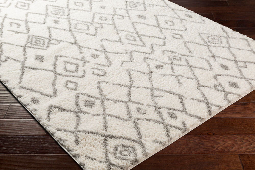 Aliyah Shag Machine Woven Rug