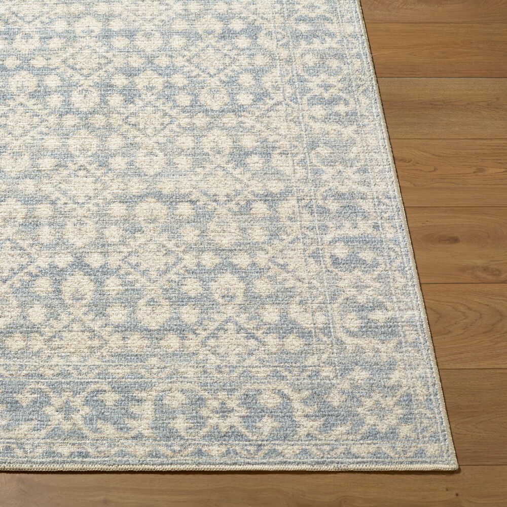 Aram Machine Woven Rug