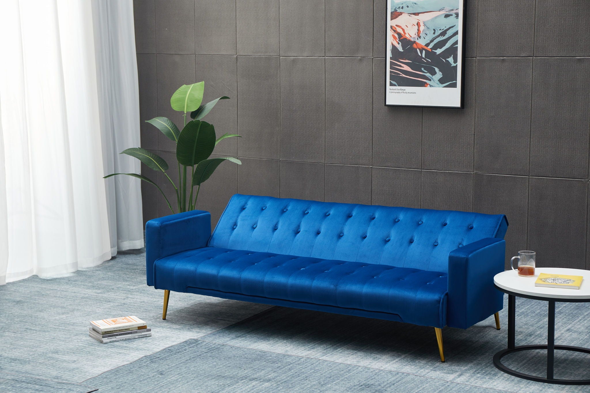 Comfort Compact Design Sofa Bed