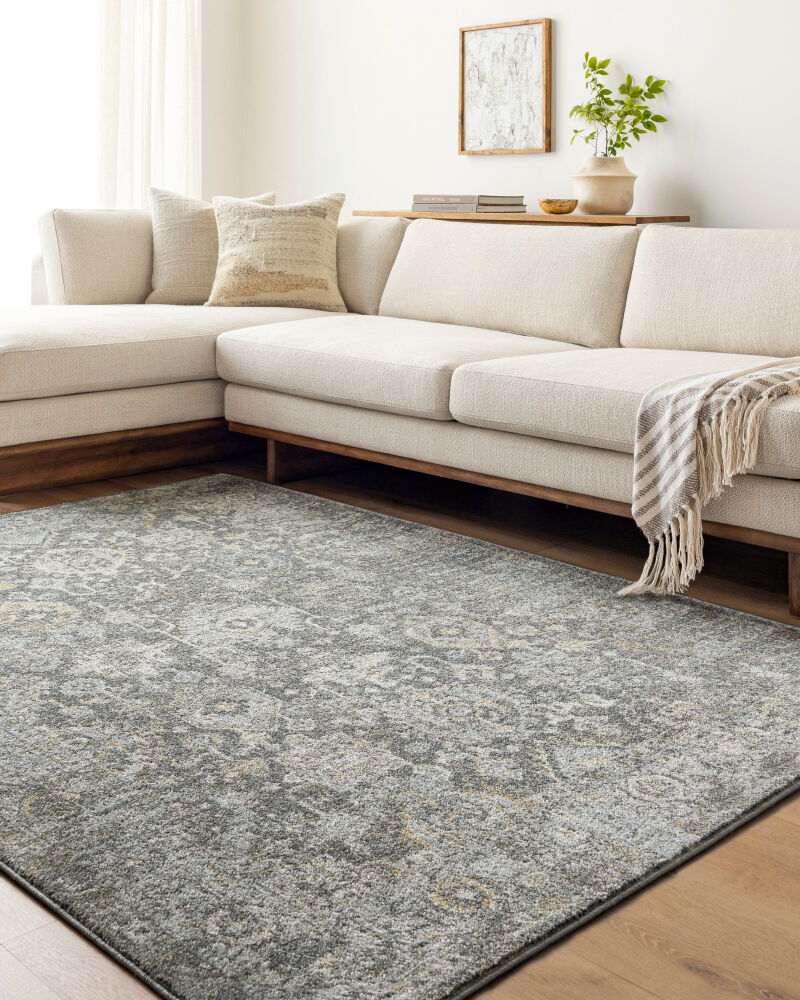 Alpharetta Machine Woven Rug