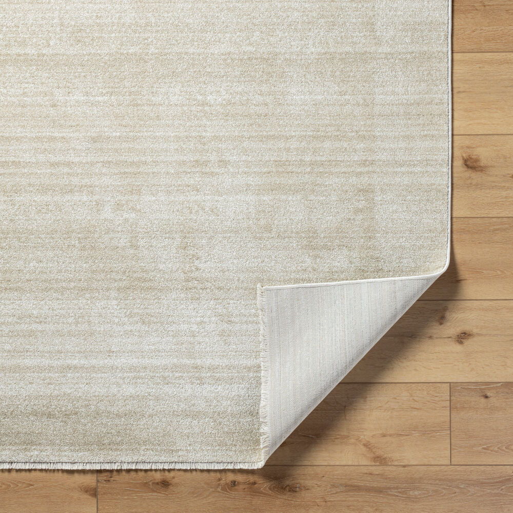 Rojin Machine Woven Rug