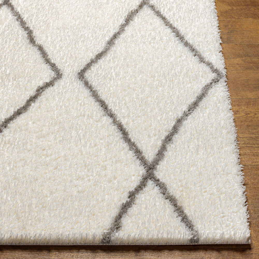 Cloudy Shag Machine Woven Rug