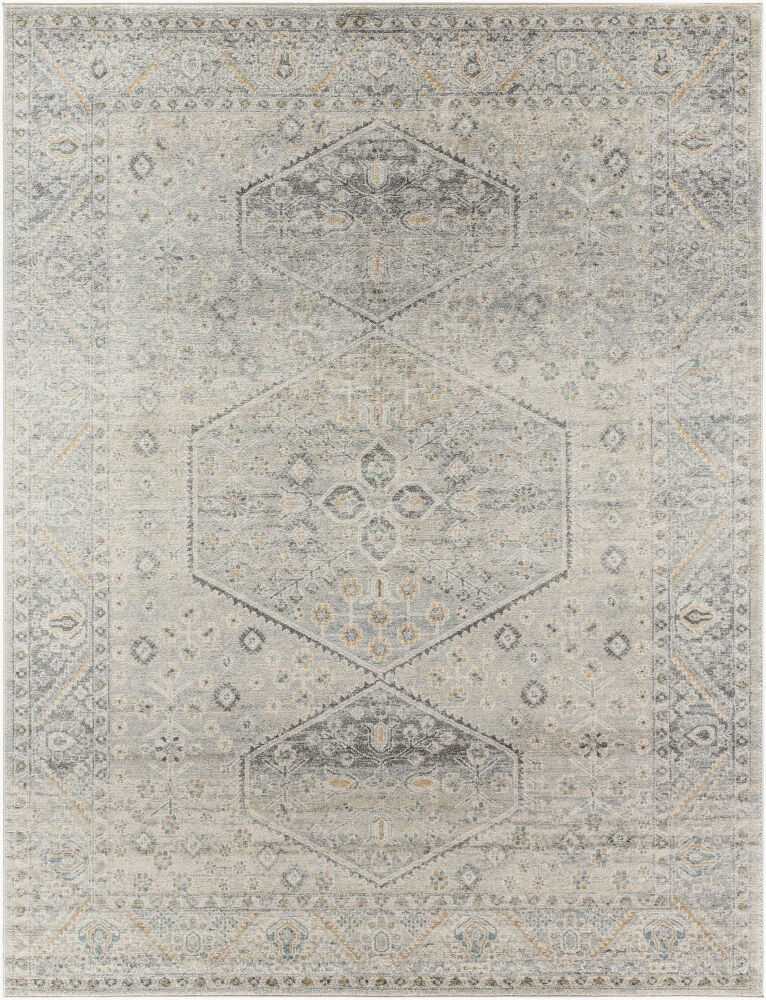 Alpharetta Machine Woven Rug