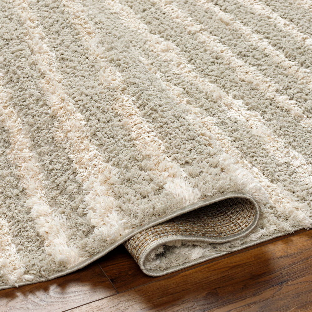Maryland Shag Machine Woven Rug