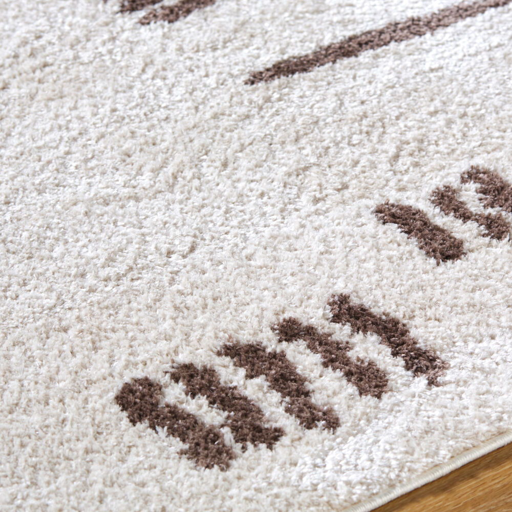 Fossay Shag Machine Woven Rug