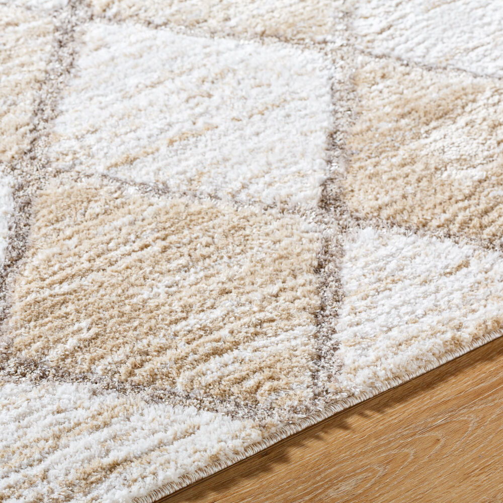 Delight Shag Machine Woven Rug