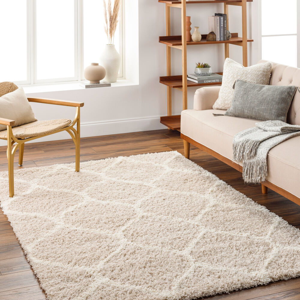 Urban Shag Machine Woven Rug