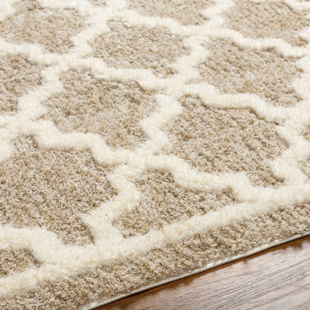 Florida Machine Woven Rug