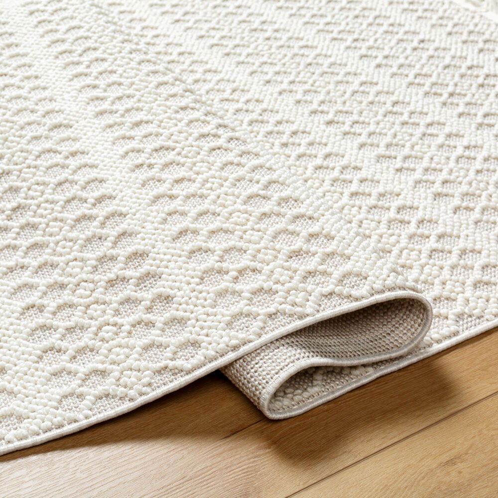 New Delhi Machine Woven Rug